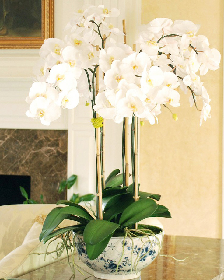 Beyaz orkideler yapay